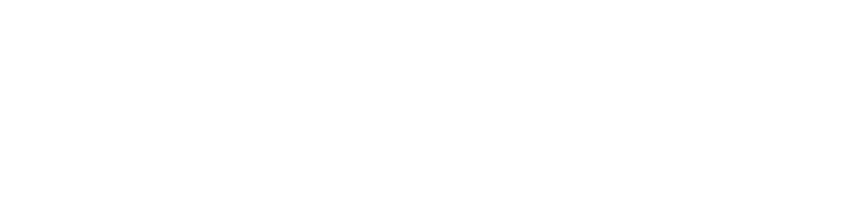 NSP Turkey